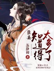 《臣妾知道得太多了》封面