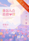 《他怎么会喜欢我》封面