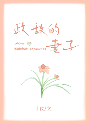 《政敌的妻子》封面