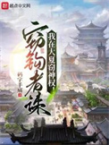 《我在大夏窃神权》封面