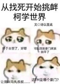 《（柯南同人）从找死开始挑衅柯学世界》封面