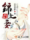 《锦上妻》封面