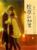 《校草的秘密》封面