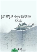 《[清穿]从小佐领到摄政王》封面
