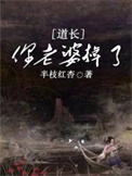 《道长，你老婆掉了》封面