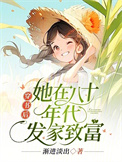 《穿书后，她在八十年代发家致富》封面