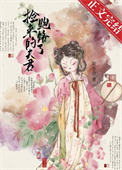 《小寡妇京城寻夫记》封面