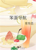 《笨蛋导航》封面