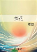 《探花》封面