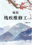 《嫁给残疾维修工[八零]》封面