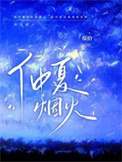 《仲夏烟火》封面