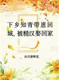 《下乡知青带崽回城，被糙汉娶回家》封面