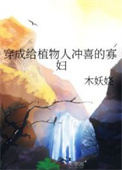 《穿成给植物人冲喜的寡妇》封面