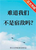 《难道我们不是宿敌吗》封面