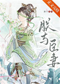 《朕与臣妻》封面