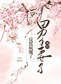 《男主妻子死后反派疯魔了》封面