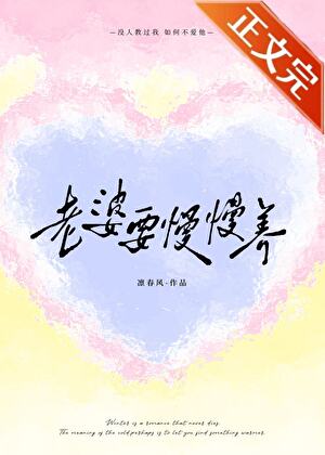 《老婆要慢慢养》封面