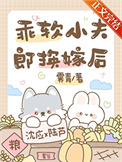 《乖软小夫郎换嫁后》封面