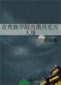 《在贵族学院当黑月光万人迷》封面