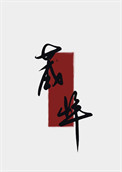 《夫人今日拔刀了吗》封面