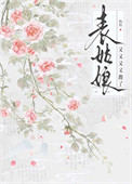 《表姑娘又又又又跑了》封面