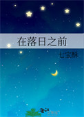 《在落日之前》封面