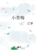 《小青梅》封面