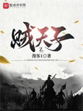 《贼天子》封面