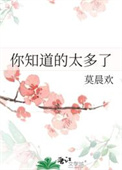 《你知道的太多了》封面