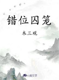 《错位囚笼》封面
