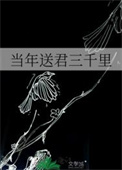 《当年送君三千里》封面