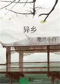 《异乡》封面