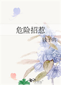 《危险招惹》封面