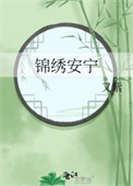 《锦绣安宁》封面
