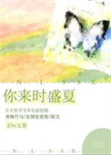 《你来时盛夏》封面
