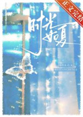 《时光如夏[先婚后爱]》封面