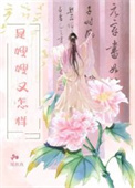 《是嫂嫂又怎样》封面