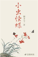《小虫怪蝶》封面