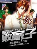 《极品败家子》封面