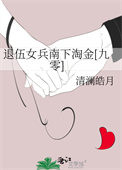 《退伍女兵南下淘金[九零]》封面