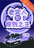 《老实人，但规则之主》封面