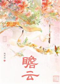 《瞻云》封面
