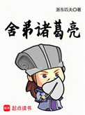 《舍弟诸葛亮》封面