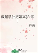 《藏起孕肚把婚离[六零]》封面