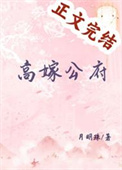 《高嫁公府》封面