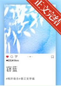 《窃蓝》封面