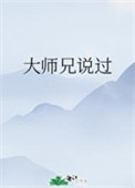 《大师兄说过》封面