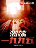 《激荡一九九五》封面