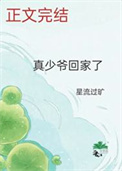 《真少爷回家了》封面