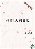 《初雪[久别重逢]》封面